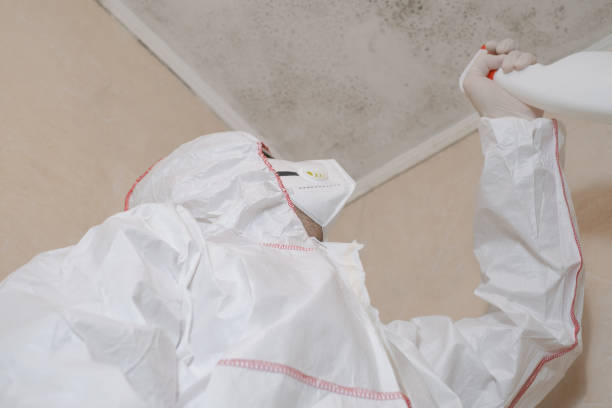 Best Certified Mold Removal  in Roebling, NJ