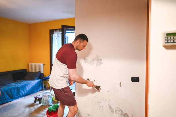 Best Local Mold Removal Service  in Roebling, NJ